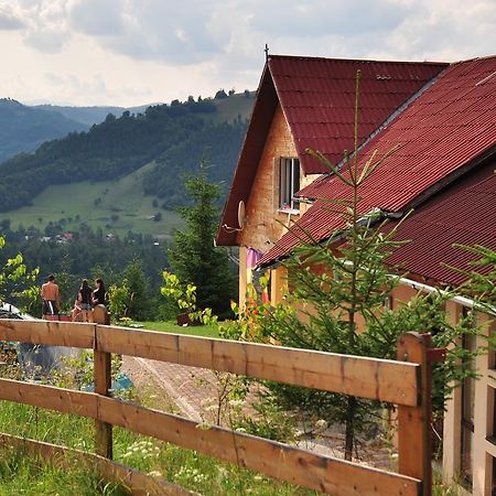 Kings Valley - Sunny Botesti Cimpeni Ruang foto