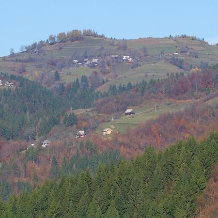 Kings Valley - Sunny Botesti Cimpeni Bagian luar foto