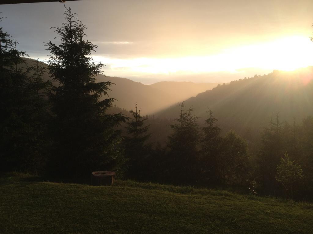 Kings Valley - Sunny Botesti Cimpeni Bagian luar foto