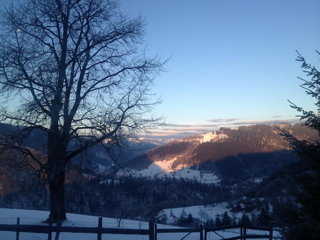 Kings Valley - Sunny Botesti Cimpeni Bagian luar foto
