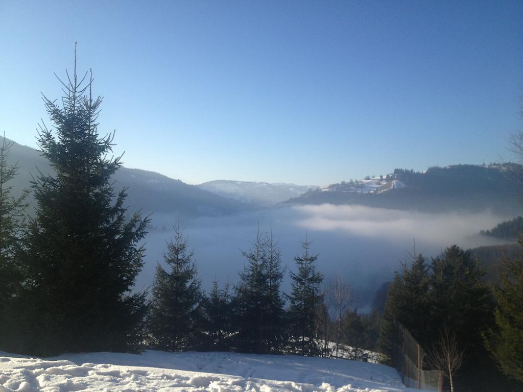 Kings Valley - Sunny Botesti Cimpeni Bagian luar foto