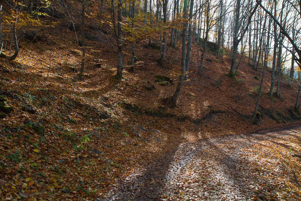 Kings Valley - Sunny Botesti Cimpeni Bagian luar foto