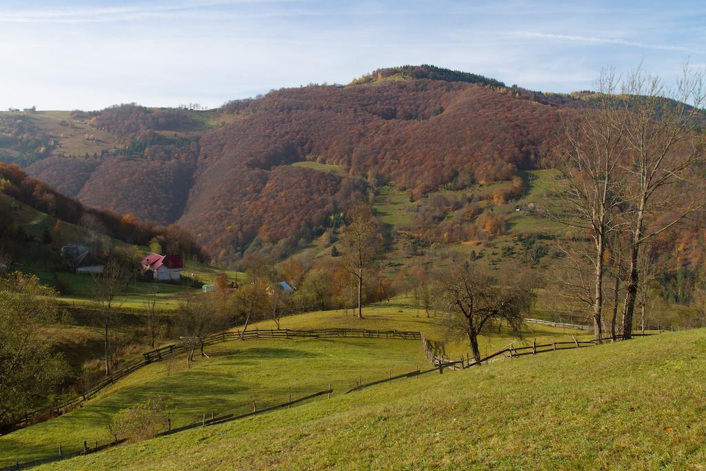 Kings Valley - Sunny Botesti Cimpeni Bagian luar foto