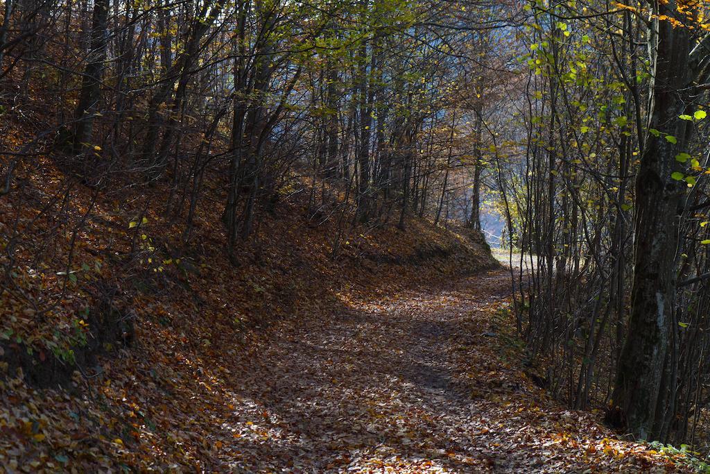 Kings Valley - Sunny Botesti Cimpeni Bagian luar foto
