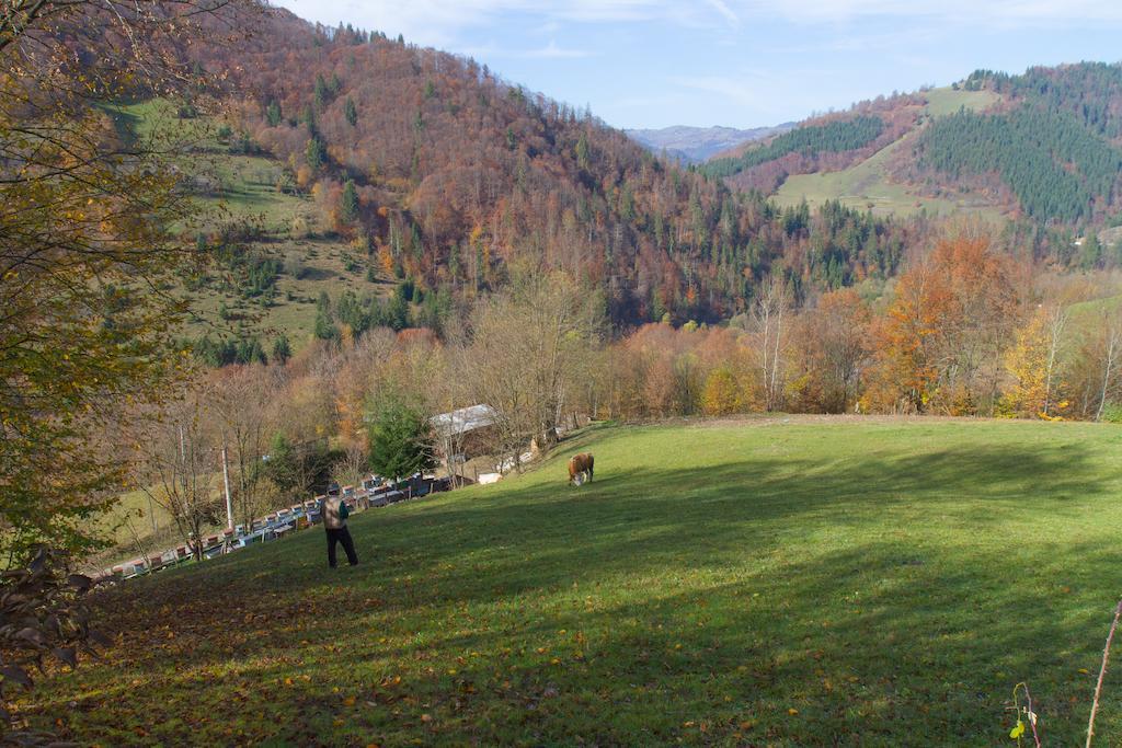 Kings Valley - Sunny Botesti Cimpeni Bagian luar foto