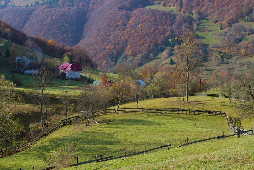 Kings Valley - Sunny Botesti Cimpeni Bagian luar foto