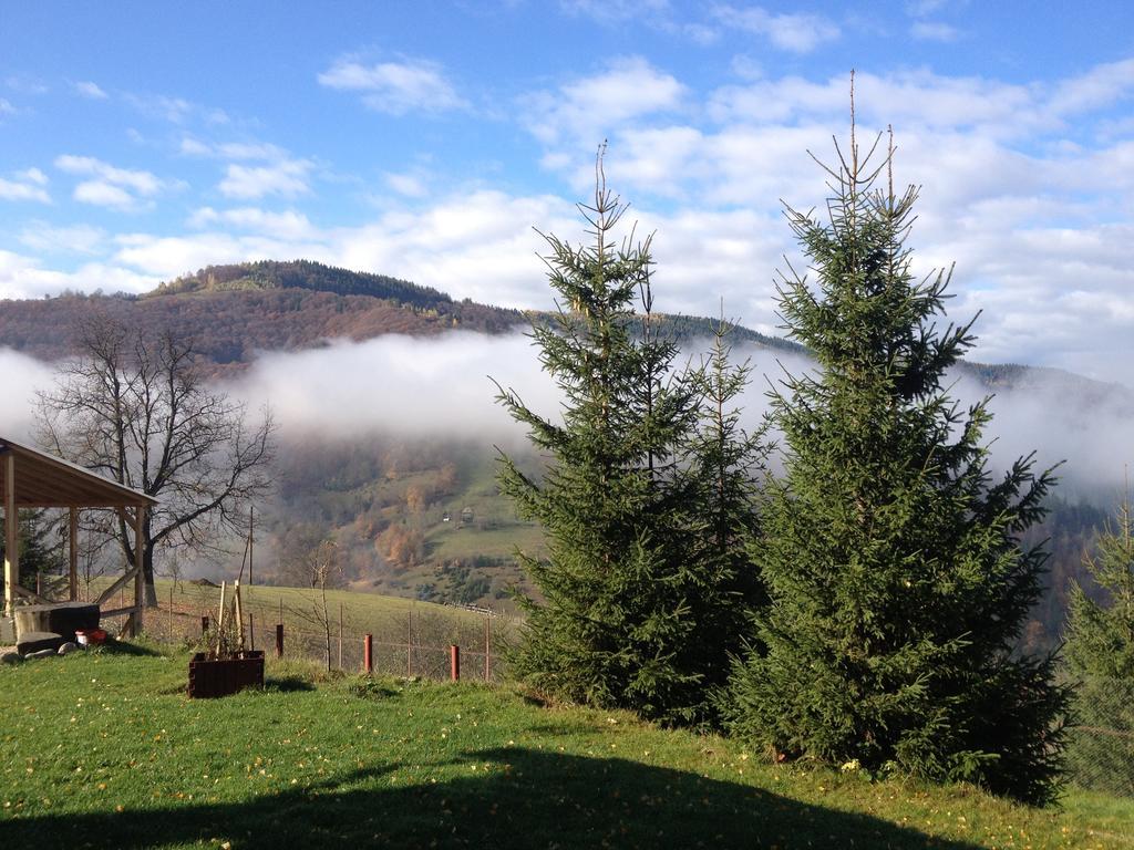 Kings Valley - Sunny Botesti Cimpeni Bagian luar foto
