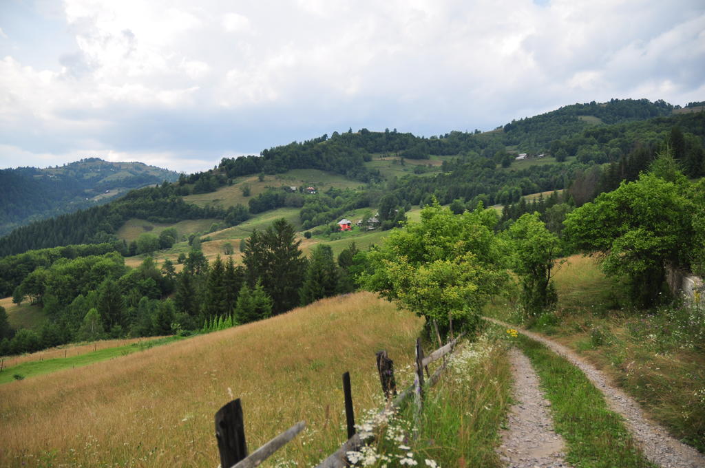 Kings Valley - Sunny Botesti Cimpeni Bagian luar foto
