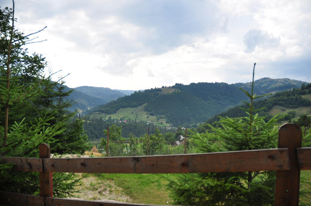 Kings Valley - Sunny Botesti Cimpeni Bagian luar foto