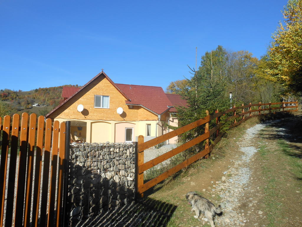 Kings Valley - Sunny Botesti Cimpeni Bagian luar foto