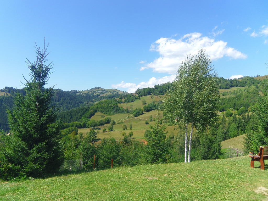 Kings Valley - Sunny Botesti Cimpeni Bagian luar foto