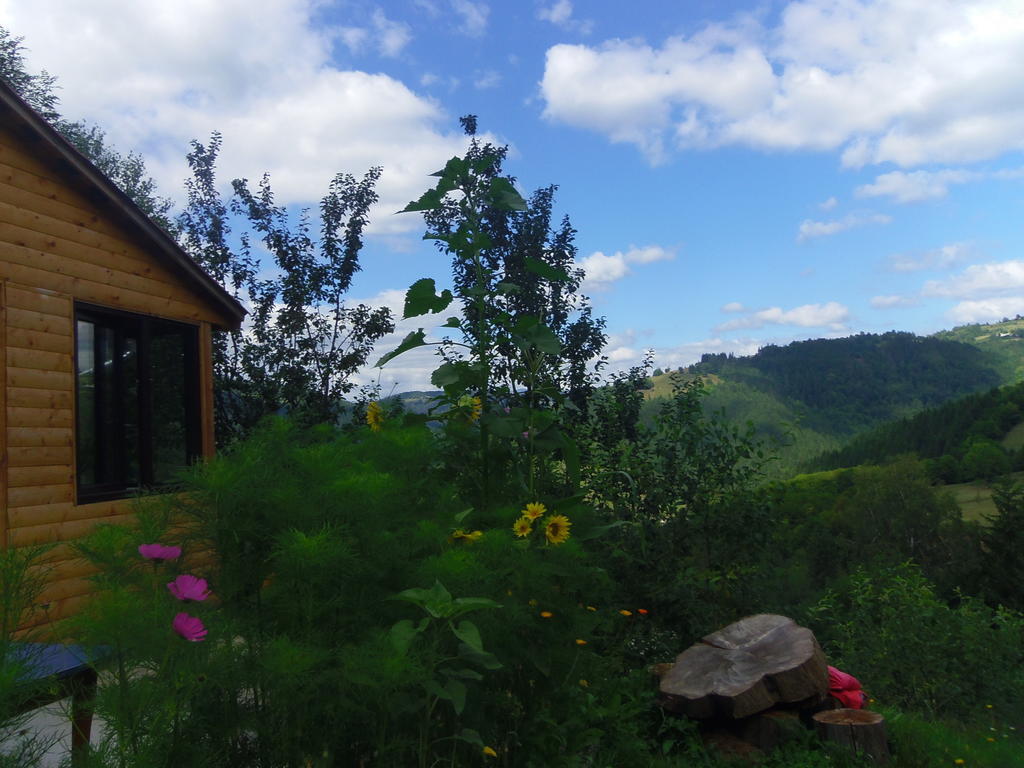 Kings Valley - Sunny Botesti Cimpeni Bagian luar foto