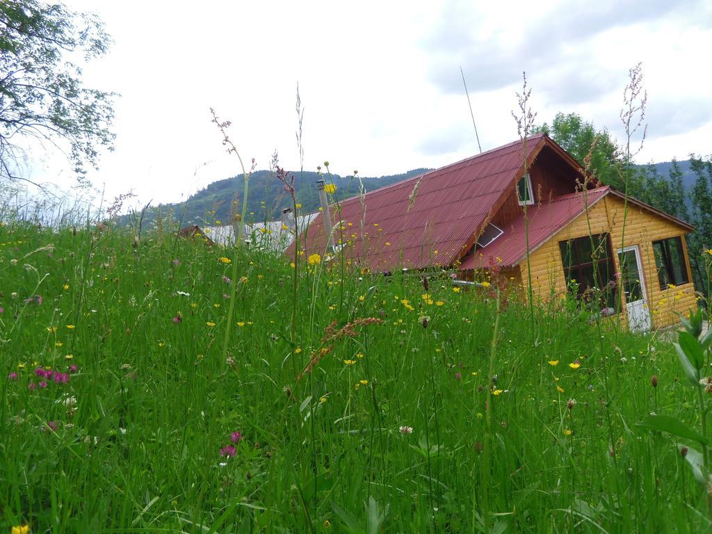 Kings Valley - Sunny Botesti Cimpeni Bagian luar foto