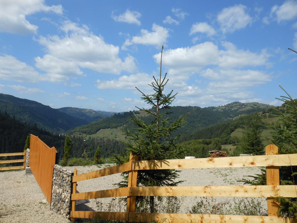 Kings Valley - Sunny Botesti Cimpeni Bagian luar foto