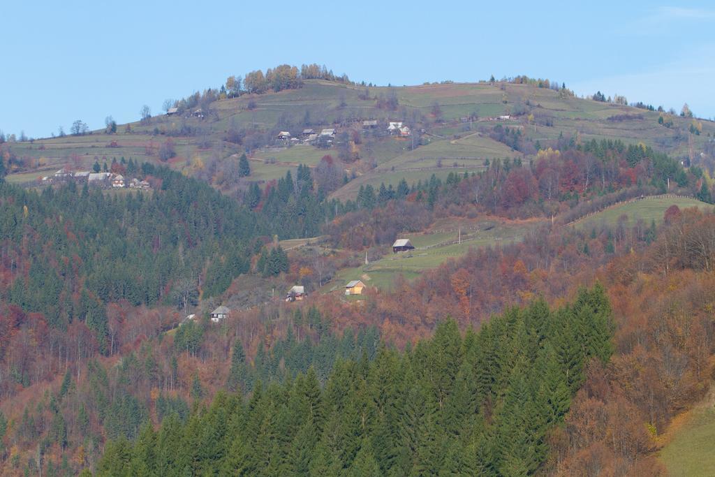 Kings Valley - Sunny Botesti Cimpeni Bagian luar foto